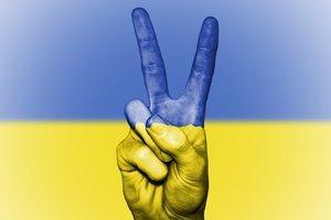 Стаття Украинская социальная сеть появится через два месяца Ранкове місто. Донбас