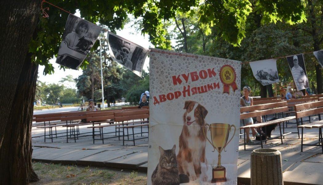 Стаття В Мариуполе выбрали «Собаку всеПонимаку» и самую красивую «ДворНяшку» (ФОТО) Утренний город. Донецьк