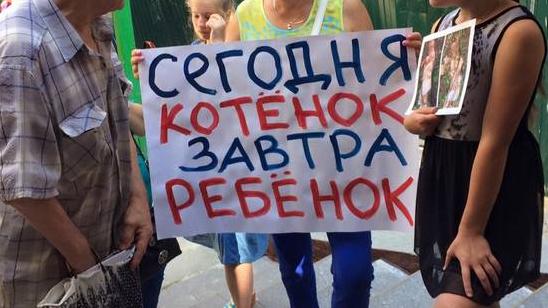 Стаття Жестокое убийство котят в Святошинском районе: киевляне начали протест Ранкове місто. Донбас