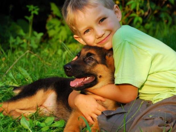 Стаття Собаки-воспитатели: какую породу лучше заводить семьям с маленькими детьми Ранкове місто. Донбас