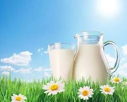Стаття А вы знали, что мы пьём наше любимое молоко вот уже 10 000 лет? Ранкове місто. Донбас