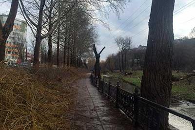 Стаття Во что превратилась набережная Симферополя после обрезки деревьев (ФОТО) Ранкове місто. Донбас