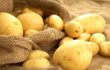 Стаття Беларусь оказалась крупнейшим покупателем картофеля в Украине Ранкове місто. Донбас