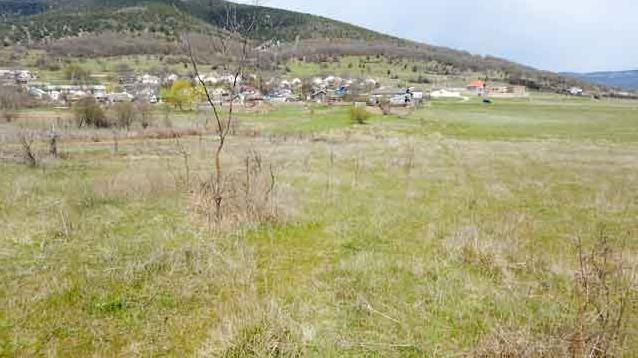 Стаття Власти Севастополя угрожают распродать сельхозземли Ранкове місто. Донбас