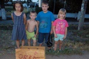 Стаття В Запорожской области дети «открыли бизнес» ради бездомных котов Ранкове місто. Донбас