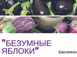Стаття Овощ, занимающий в нашей пищевой цепочке особенное место Ранкове місто. Донбас