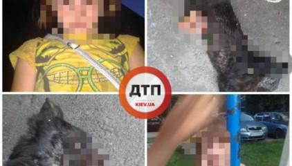 Стаття 6-летняя девочка убивает котят и вынимает из них внутренности Ранкове місто. Донбас