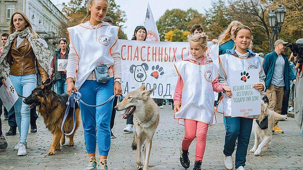 Стаття День защиты животных: в Одессе устроили Марш спасенных собак и защищают рыб, переживших динозавров Ранкове місто. Донбас