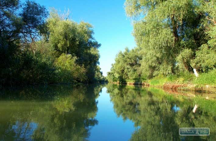 Стаття Европейская программа выделила крупный грант на восстановление природы в дельте Дуная на Одесщине Ранкове місто. Донбас