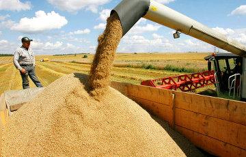 Стаття Украина вошла в пятерку крупнейших экспортеров агропродукции в ЕС Ранкове місто. Донбас