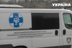 Стаття В Украине заработала «скорая» для служебных собак Ранкове місто. Донбас