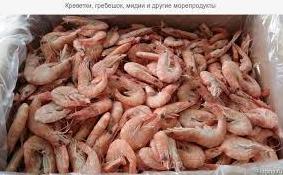 Стаття В Черном море запретили вылов креветок и мидий Ранкове місто. Донбас