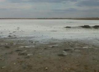 Стаття В Крыму фиксируют колоссальное засоление почвы Ранкове місто. Донбас