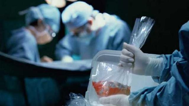 Стаття Программа трансплантации заработает до конца текущего года и постепенно заменит лечение за рубежом Ранкове місто. Донбас