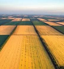 Стаття В Україні запрацював сайт про земельну реформу з усіма відповідями Ранкове місто. Донбас