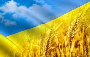 Стаття Украина обновила рекорд по урожаю зерновых Ранкове місто. Донбас
