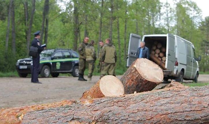 Стаття На Донеччині ветерани АТО почали боротьбу з «чорними лісорубами» Ранкове місто. Донбас