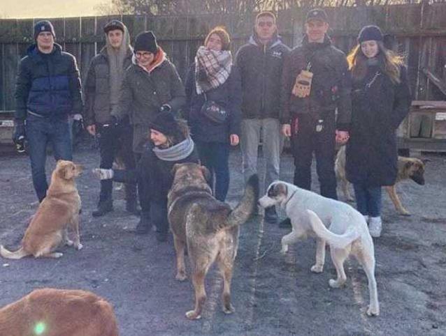Стаття На Київщині активісти завітали до притулку для тварин Ранкове місто. Донбас