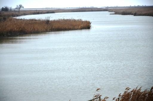 Стаття В Одесской области обсуждали возрождение умирающего озера Сасы Ранкове місто. Донбас