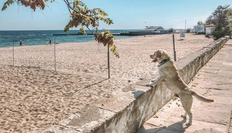 Стаття Суд запретил уменьшать протяженность пляжа в Одессе Ранкове місто. Донбас
