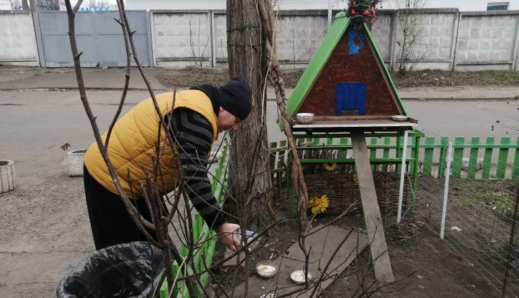 Стаття Одессит смастерил для кошачьей семьи домик с елкой и телевизионной антенной (фото) Ранкове місто. Донбас