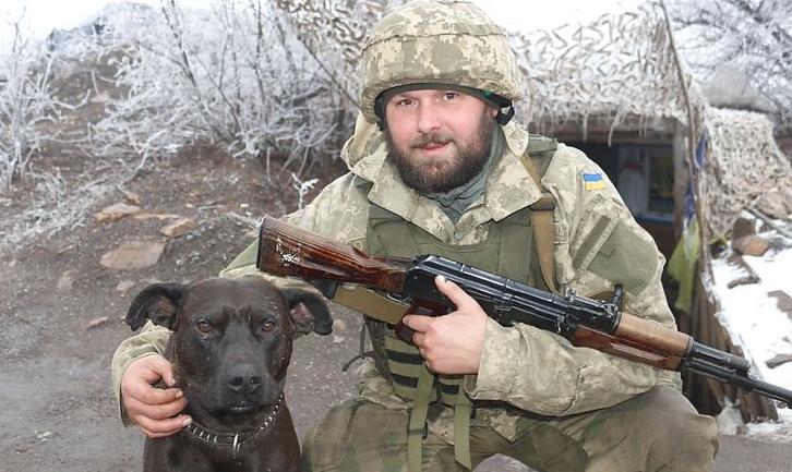 Статья Військова лікарка 5 годин оперувала пораненого на передовій фронтового собаку Утренний город. Донецк