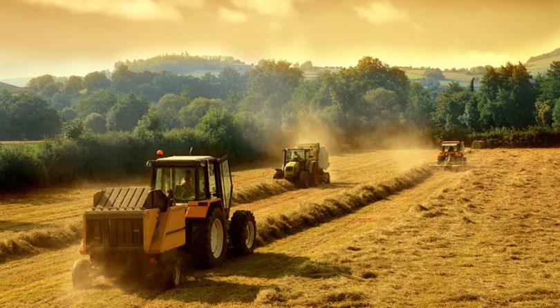 Стаття Євросоюз виділить €26 млн для українських фермерів Ранкове місто. Донбас