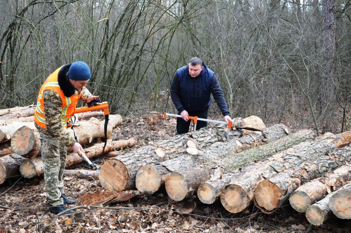 Стаття Київськи лісники отримали дієвий механізмом у боротьбі з нелегальною вирубкою дерев Ранкове місто. Донбас