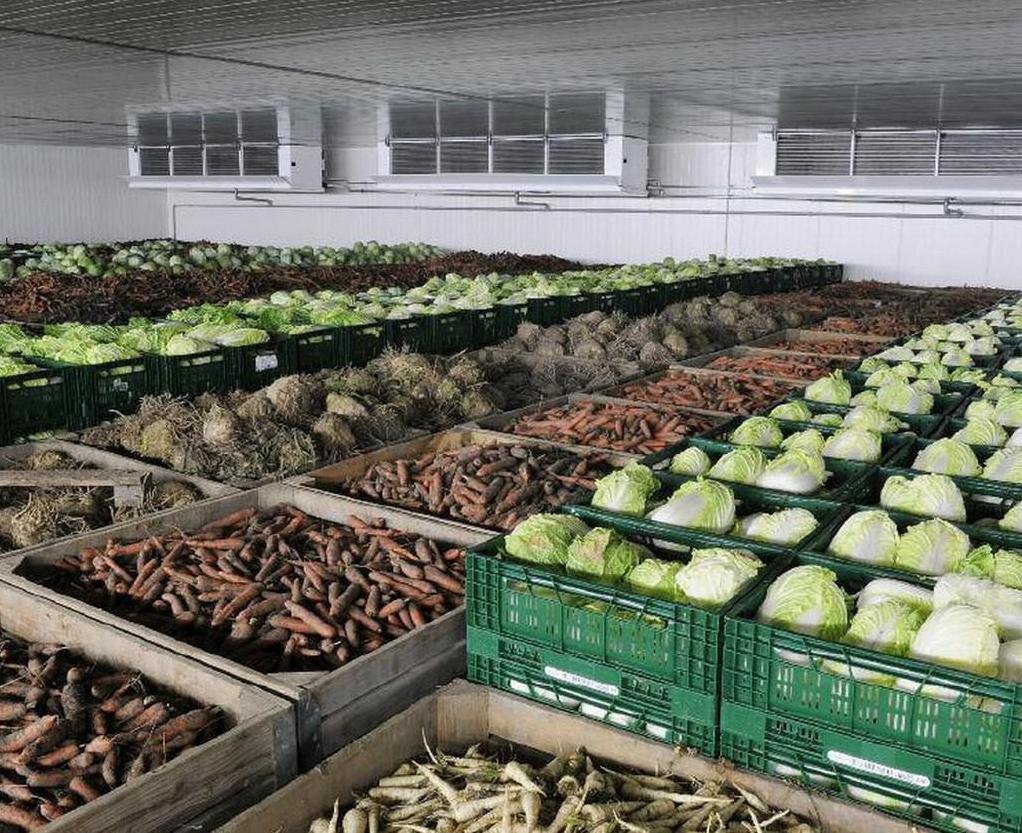 Стаття В Україні будують потужне сховище для овочів із цехом з виробництва соку Ранкове місто. Донбас