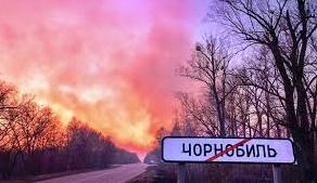 Стаття Фото дня. Від пожежі у Чорнобилі врятували білченят Ранкове місто. Донбас