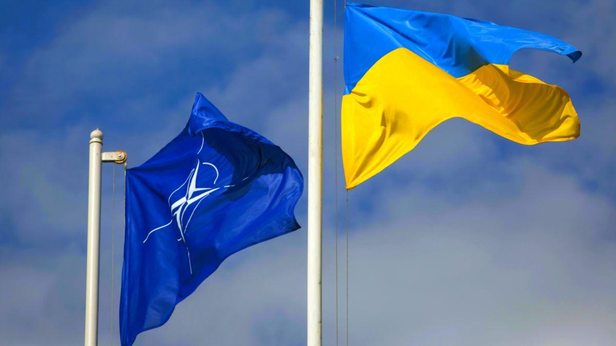 Стаття В Україні стартував онлайн-курс про НАТО для всіх охочих Ранкове місто. Донбас