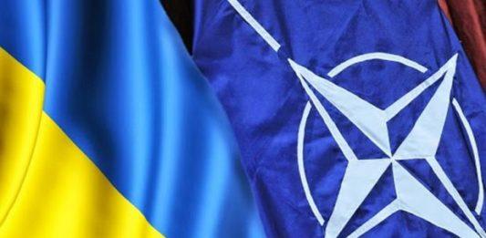 Стаття В шести містах відкрили курси для військових за програмою НАТО-Україна Ранкове місто. Донбас