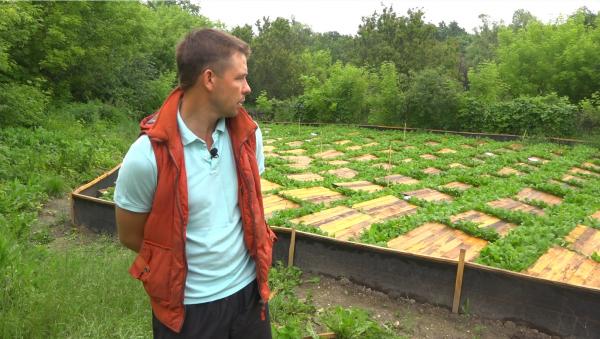 Стаття От меда до улиток: как переселенец на Луганщине развивает агробизнес Ранкове місто. Донбас