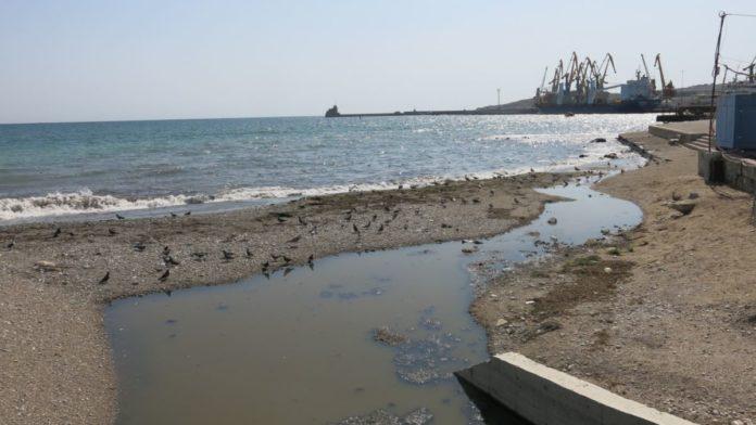 Стаття Море в Коктебеле загрязнено нечистотами — названа причина Ранкове місто. Донбас