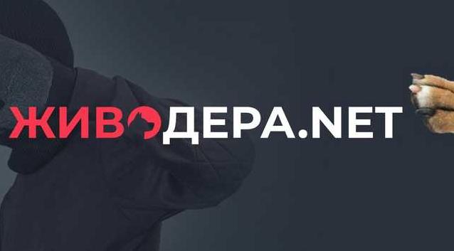 Стаття В Украине запустился проект «Антиживодер» Ранкове місто. Донбас