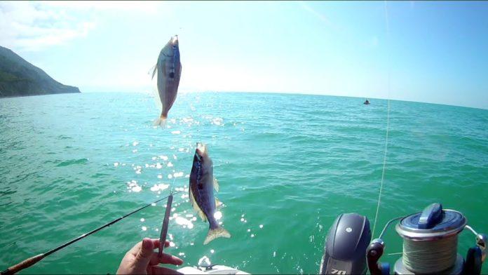 Стаття Оккупанты запретили рыбалку в Черном море до весны Ранкове місто. Донбас