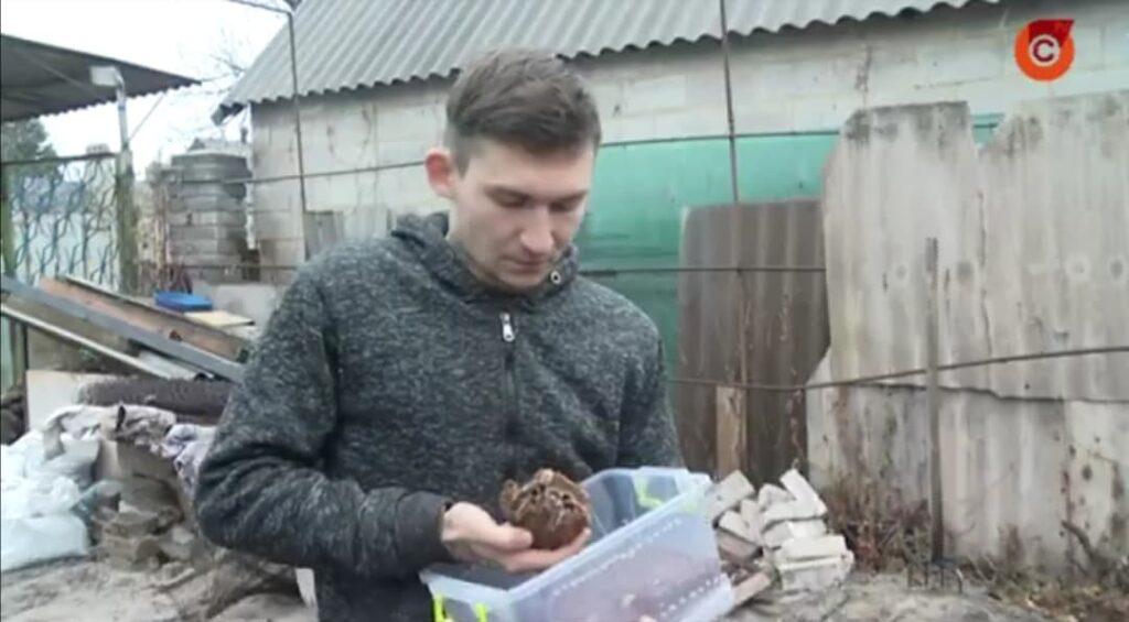Стаття Житель Мариуполя создал центр реабилитации диких животных: видео Ранкове місто. Донбас