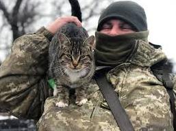 Стаття На КПВВ «Золотое» вместе с пограничниками несут службу коты и собаки: фото Ранкове місто. Донбас