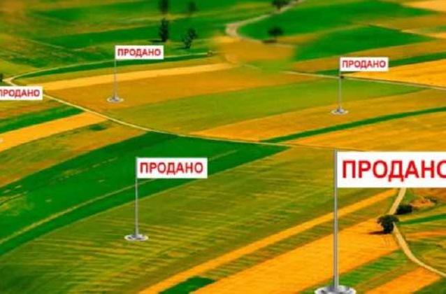 Стаття Украинский рынок земли выведут из тени: сколько будет стоить гектар? Ранкове місто. Донбас