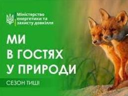 Стаття С 1 апреля в лесах Одесской области начинается «сезон тишины» (фото) Ранкове місто. Донбас