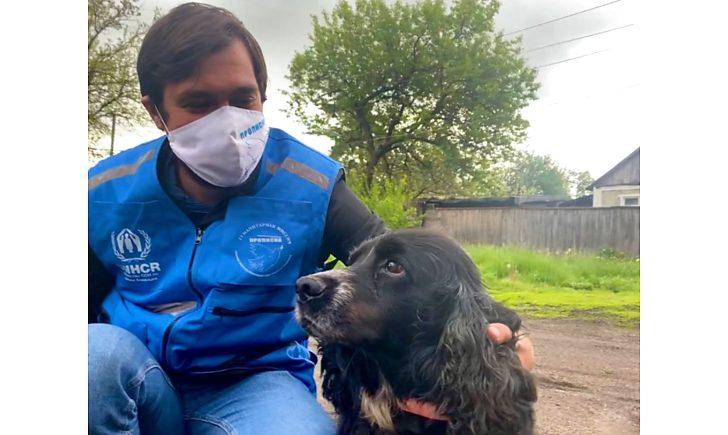 Стаття «Домівку зайняли бойовики», — у прифронтовому селі волонтери опікуються собакою, яка чекає на господарку Ранкове місто. Донбас