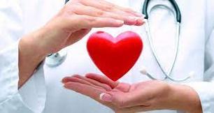 Стаття В Северодонецке 14 июня врачи будут бесплатно обследовать пациентов с болезнями сердца Ранкове місто. Донбас