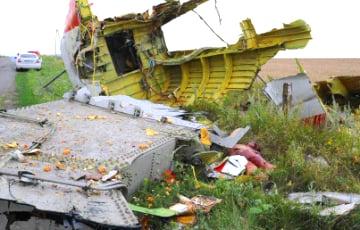 Стаття Выпущенная из «Бука» ракета - единственная причина катастрофы рейса MH17, - суд в Гааге ФОТО Ранкове місто. Донбас