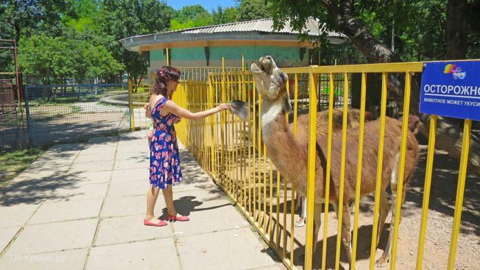 Стаття Всех животных распределят по «живым уголкам», действующим в рамках закона РФ Ранкове місто. Донбас