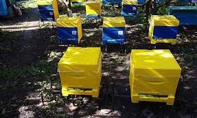 Стаття На Луганщине только в Марковском лицее будут готовить пчеловодов: закупили оборудование по гранту Ранкове місто. Донбас