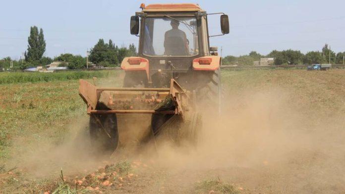 Стаття С появлением нового урожая, за неделю незначительно подешевели картофель, морковь и лук Ранкове місто. Донбас