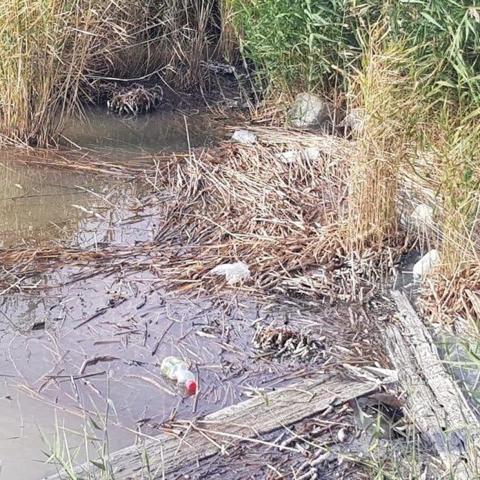 Статья Судя по фотографиям, на озере – экологическая катастрофа Утренний город. Донецк