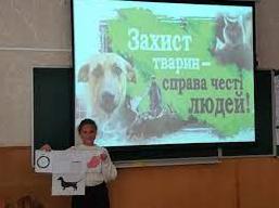 Стаття Дни доброты: гимназия № 5 собрала помощь для котиков (фото) Ранкове місто. Донбас