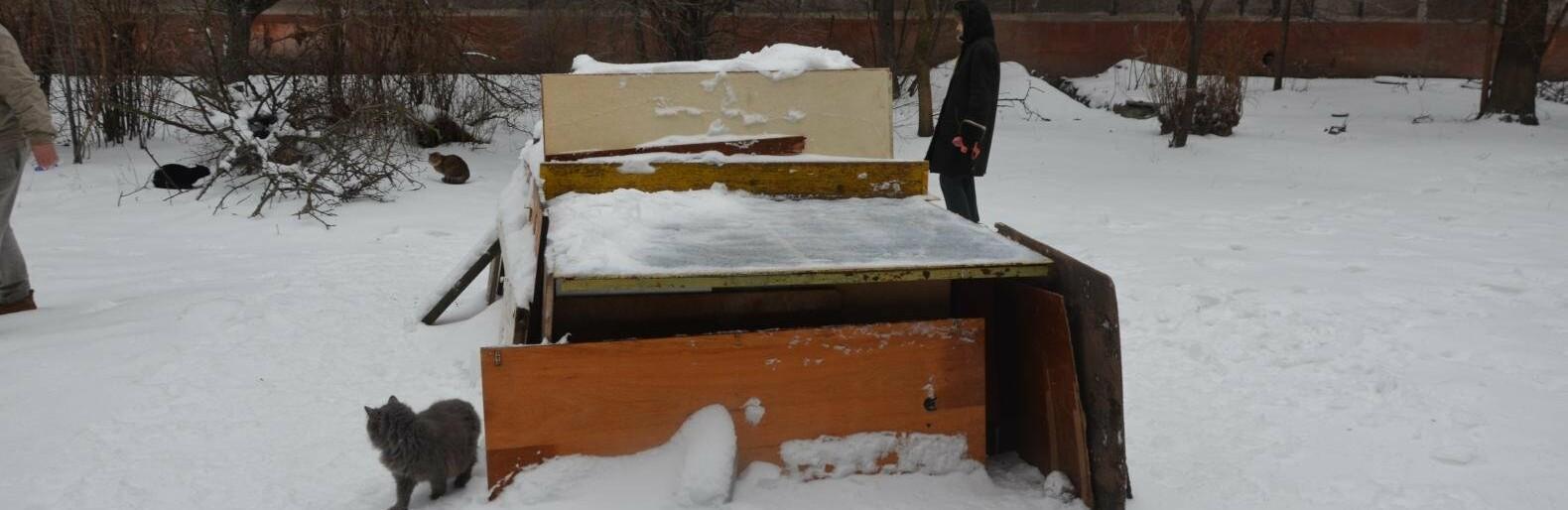 Статья Жители Мариуполя построили домик для бездомных котов из теннисного стола (фото) Утренний город. Донецк