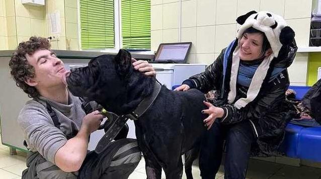 Статья Спасатели животных в Киеве ищут дом собаке, которая 5 дней охраняла тело умершего владельца Утренний город. Донецк